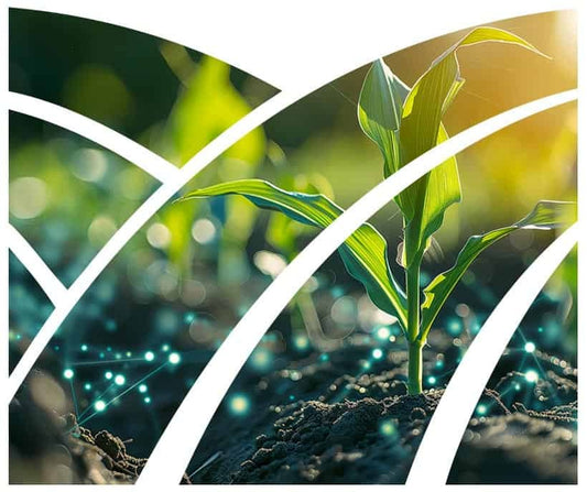 ForAgriculture Where Every Grain Matters – Precision in Dehydrated Culture Media for Agriculture Research