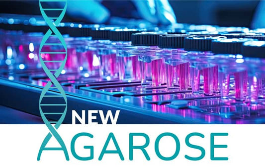 Formedium Agarose Ultrapure Available Now
