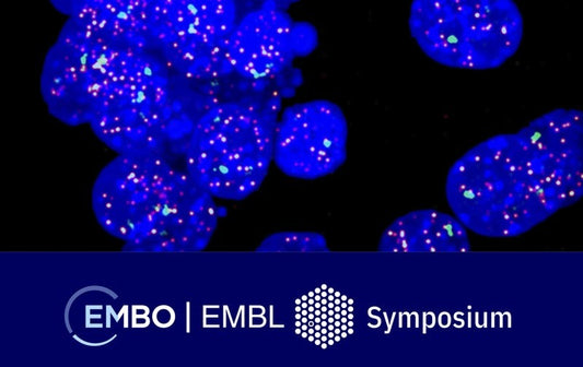 Seeing is believing: imaging the molecular processes of life