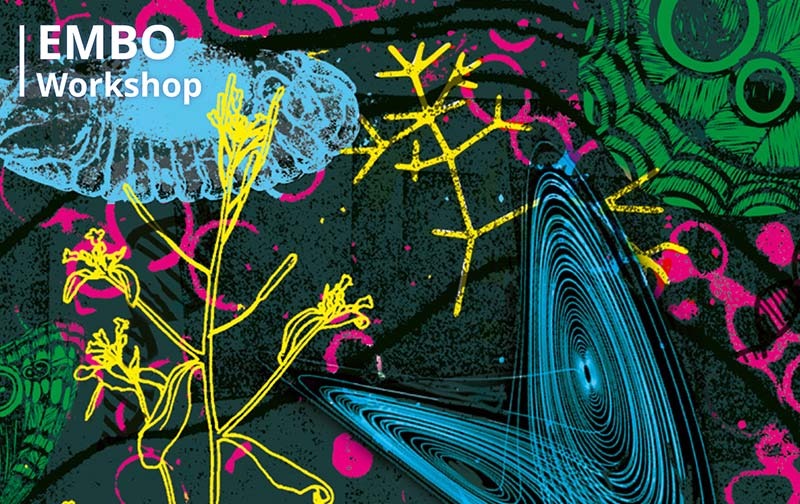 EMBO events - upcoming deadlines