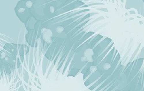 London Cell Cycle Club 2023