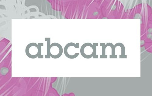 Cell Cycle Conference is back for 2023!