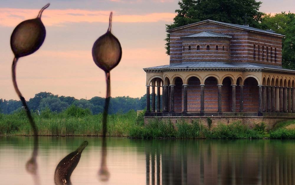 Formedium Sponsors the 2025 Dictyostelium Conference in Potsdam 🧫 Formedium sponsors the 2025 Dictyostelium Conference in Potsdam!