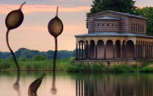 Formedium Sponsors the 2025 Dictyostelium Conference in Potsdam 🧫 Formedium sponsors the 2025 Dictyostelium Conference in Potsdam!