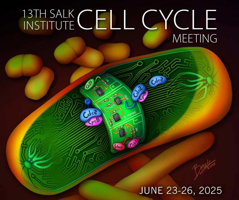 13th Salk Cell Cycle Meeting - June 2025