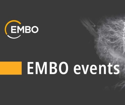 Advance Your Research Leadership with EMBO Lab Leadership Courses