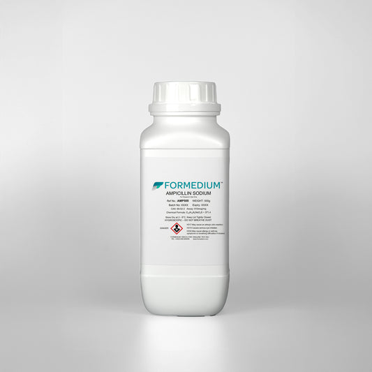 Ampicillin Sodium