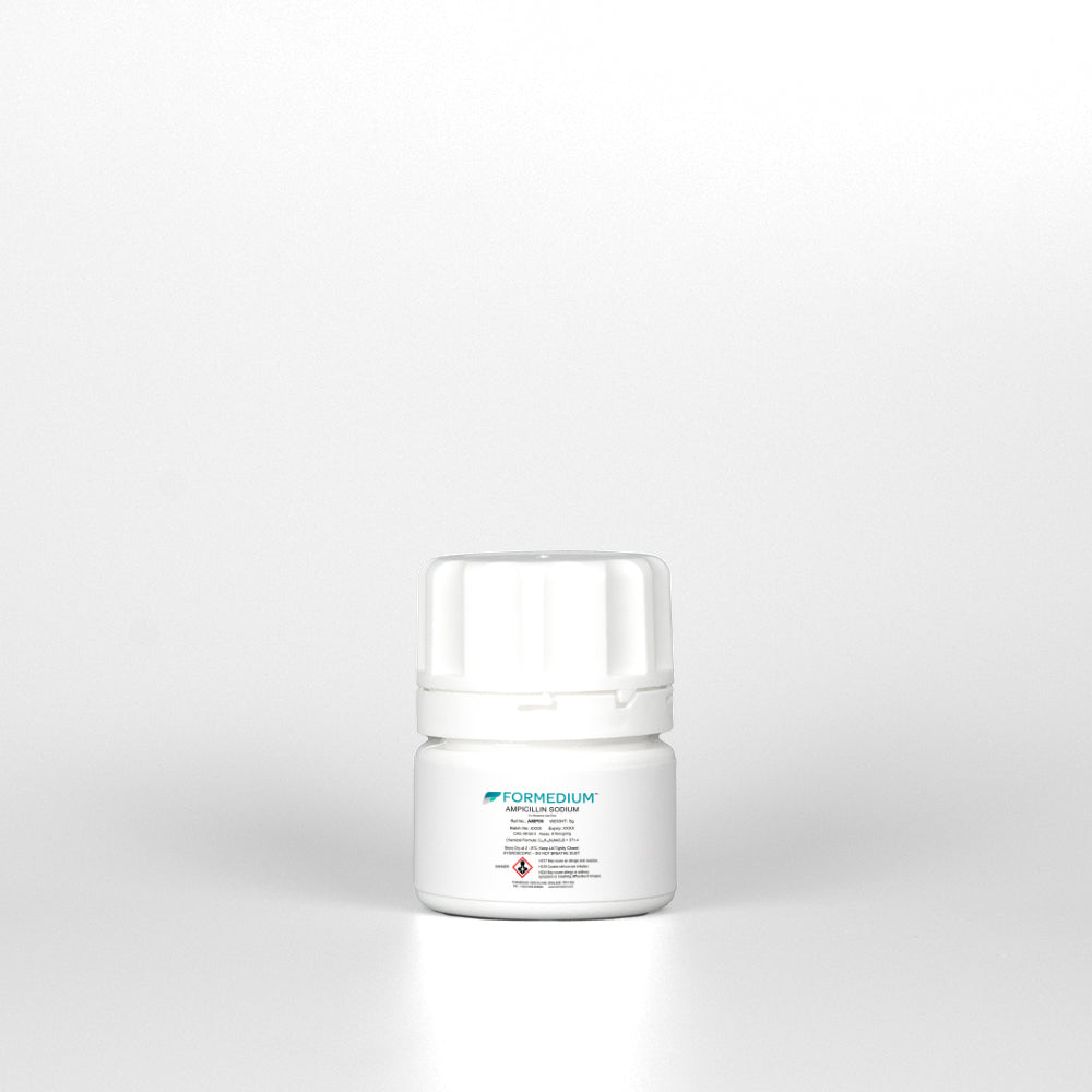Ampicillin Sodium